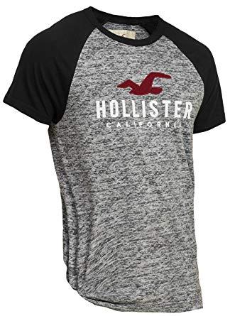 Hollister T-Shirt 7